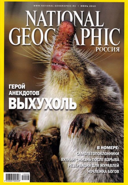 журнал