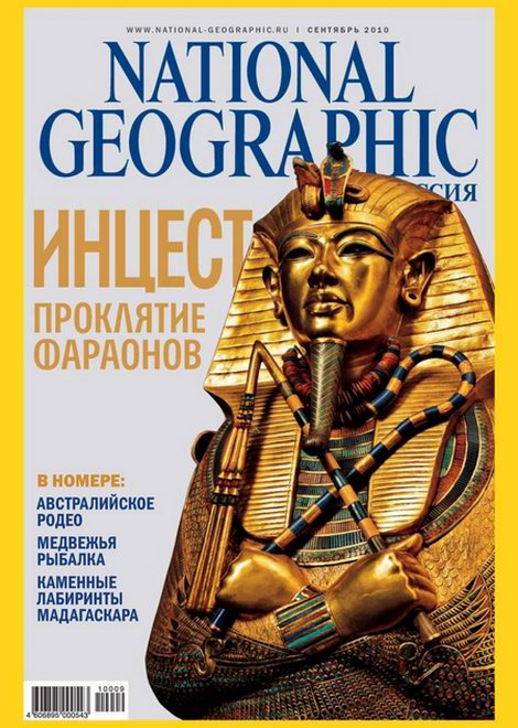 журнал