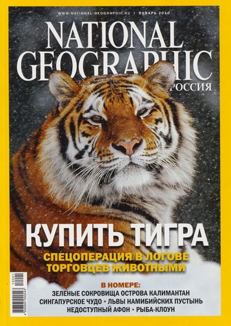 журнал