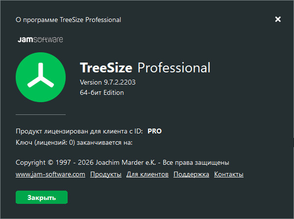 TreeSize Professional