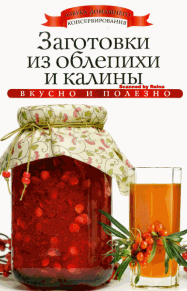 Заготовки из облепихи и калины