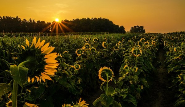 New Mixed HD Wallpapers Pack 377