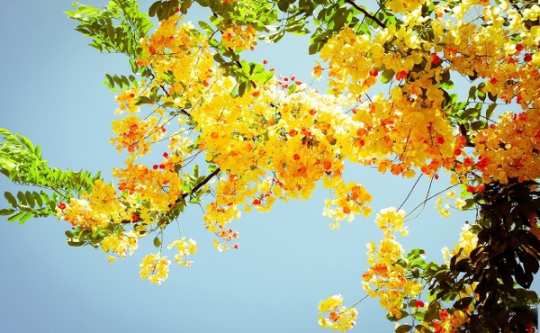New Mixed HD Wallpapers Pack 378