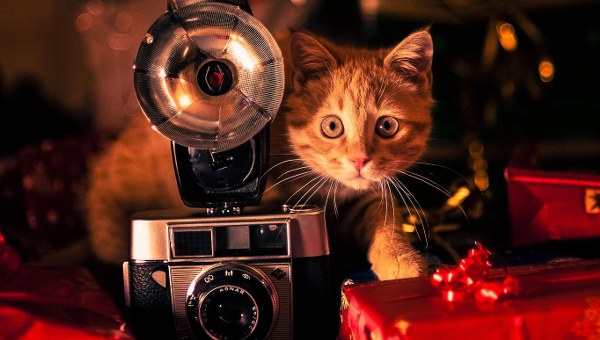 Best Mixed Wallpapers Pack #451-452