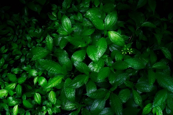 Best Mixed Wallpapers Pack #451-452