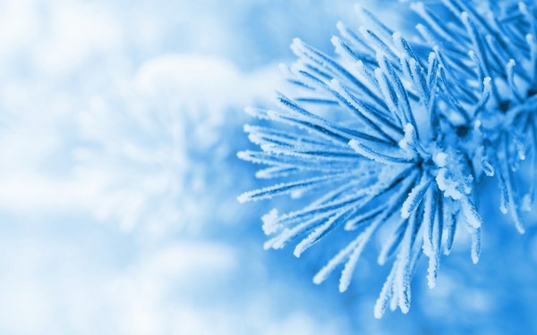 Best Mixed Wallpapers Pack #451-452