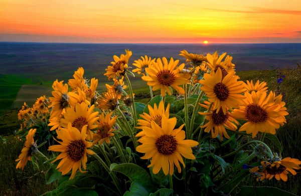 New Mixed HD Wallpapers Pack 307