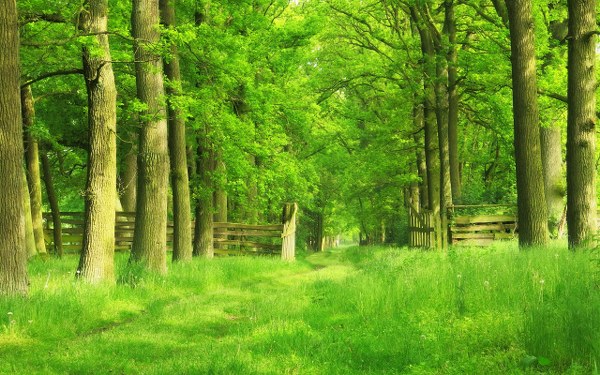 New Mixed HD Wallpapers Pack 317