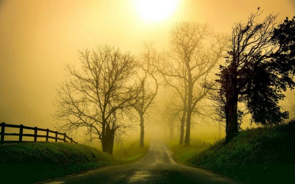 New Mixed HD Wallpapers Pack 320