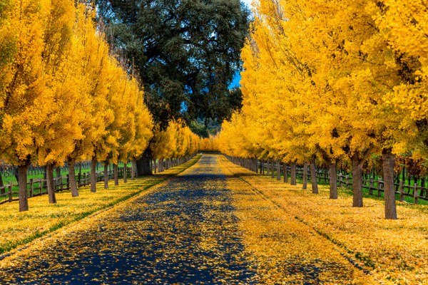 New Mixed HD Wallpapers Pack 332