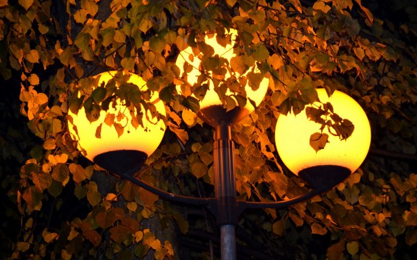 New Mixed HD Wallpapers Pack 337