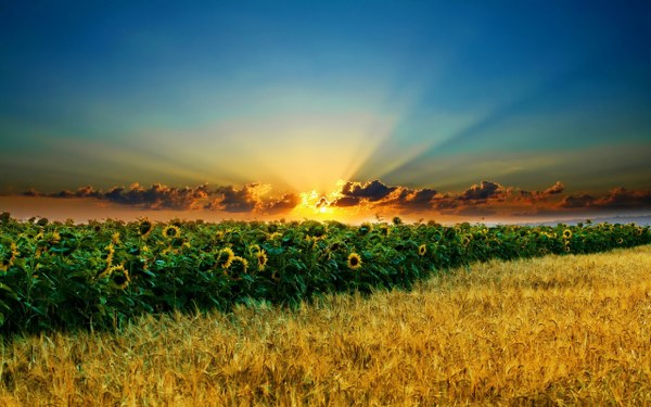 New Mixed HD Wallpapers Pack 234