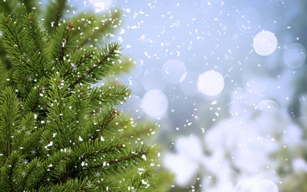 New Mixed HD Wallpapers Pack 234