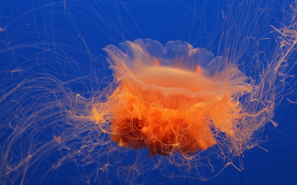 New Mixed HD Wallpapers Pack 252