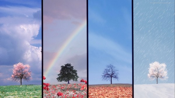 Best Mixed Wallpapers Pack #341-342