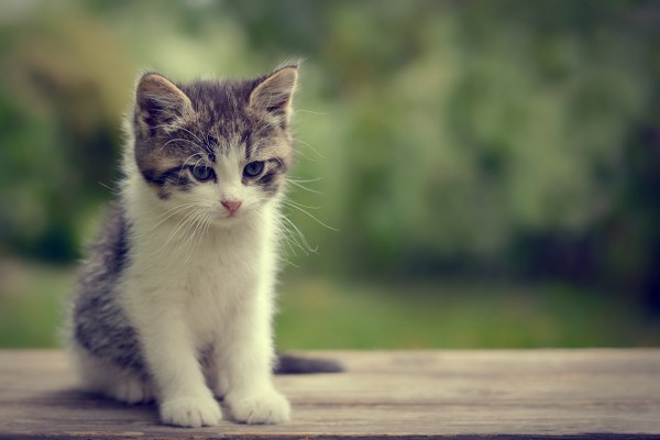 Best Mixed Wallpapers Pack #341-342