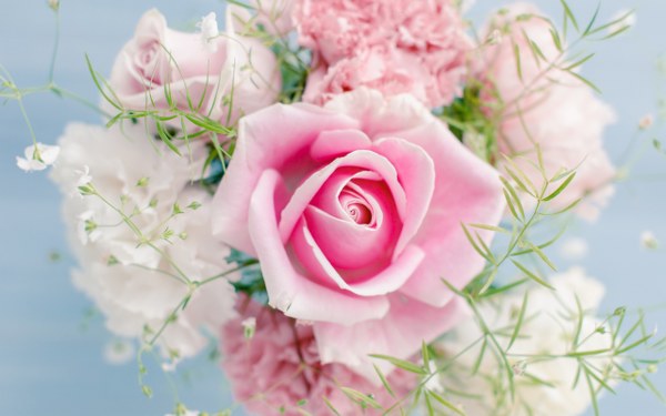 New Mixed HD Wallpapers Pack 291