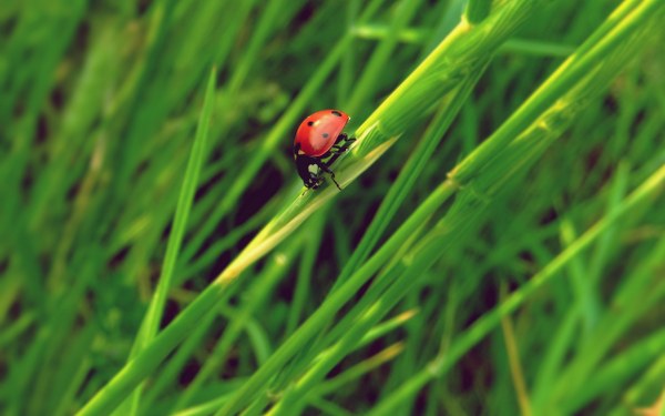 New Mixed HD Wallpapers Pack 186