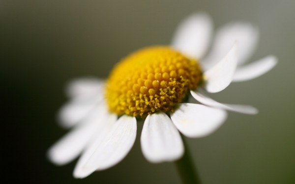 New Mixed HD Wallpapers Pack 190
