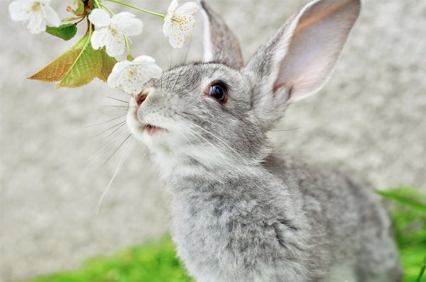 Best Mixed Wallpapers Pack #349-350