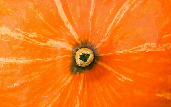 Best Mixed Wallpapers Pack #351-352