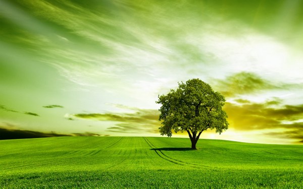 Best Mixed Wallpapers Pack #359-360