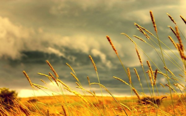Best Mixed Wallpapers Pack #365-366
