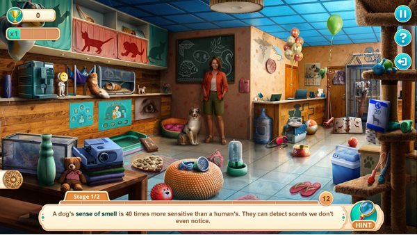 Home for Friends 2: Loving Paws Collector's Edition