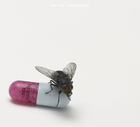 Red Hot Chili Peppers I'm with you